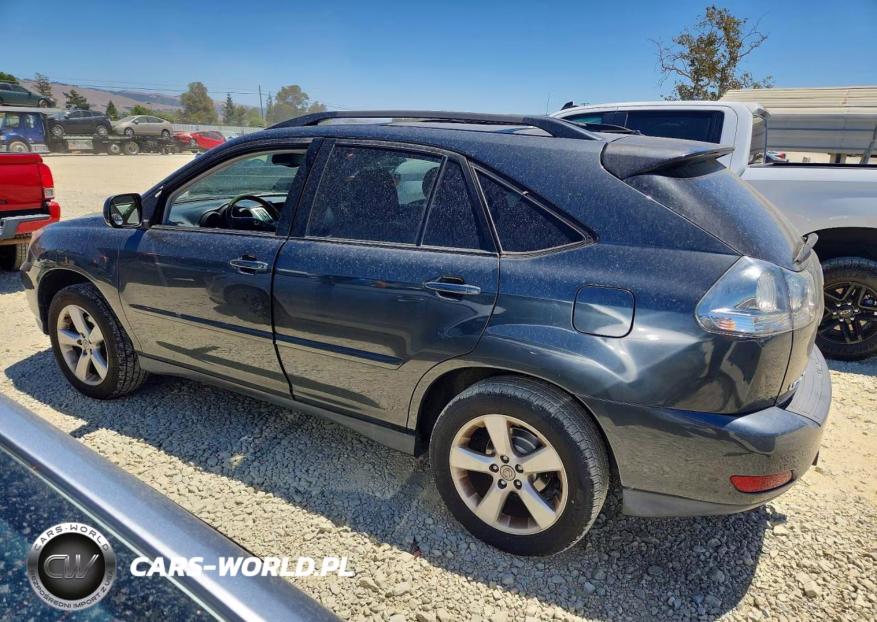 2004 Lexus Rx 330 VIN:JTJGA31U040025238 - 2