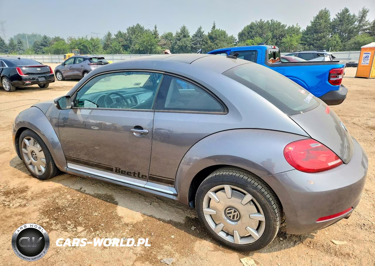 2014 Volkswagen Beetle VIN:3VWJP7AT5EM613587 - 2
