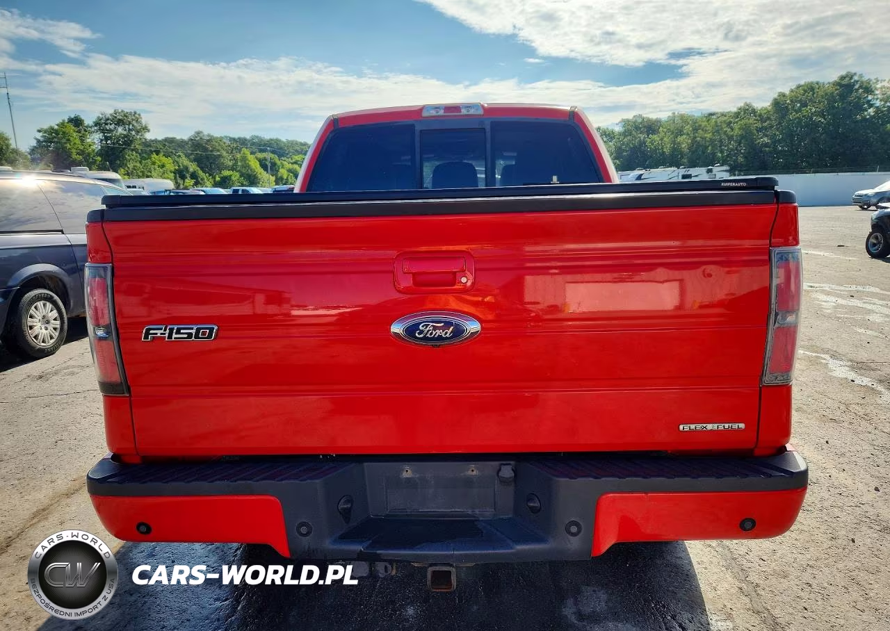 2011 Ford F150 Supercrew VIN:1FTFW1EF4BKD01101 - 6