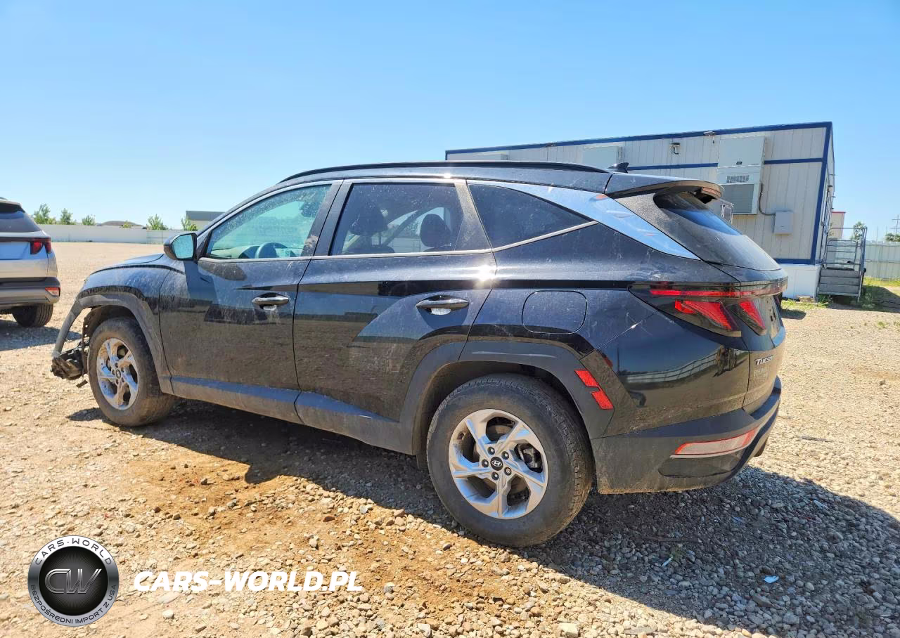 2024 Hyundai Tucson Sel VIN:5NMJBCDEXRH368723 - 2