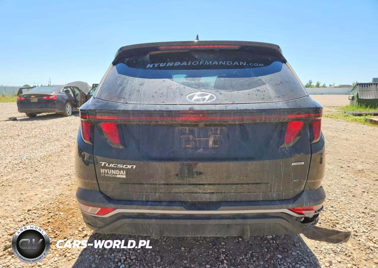 2024 Hyundai Tucson Sel VIN:5NMJBCDEXRH368723 - 6
