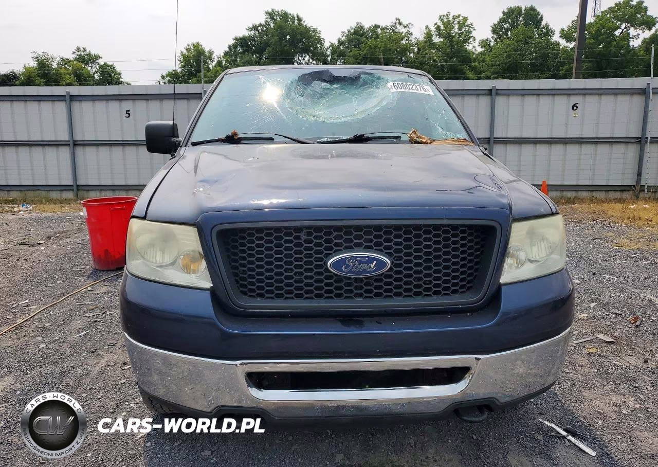 2006 Ford F150 VIN:1FTRX14W76NB74408 - 5