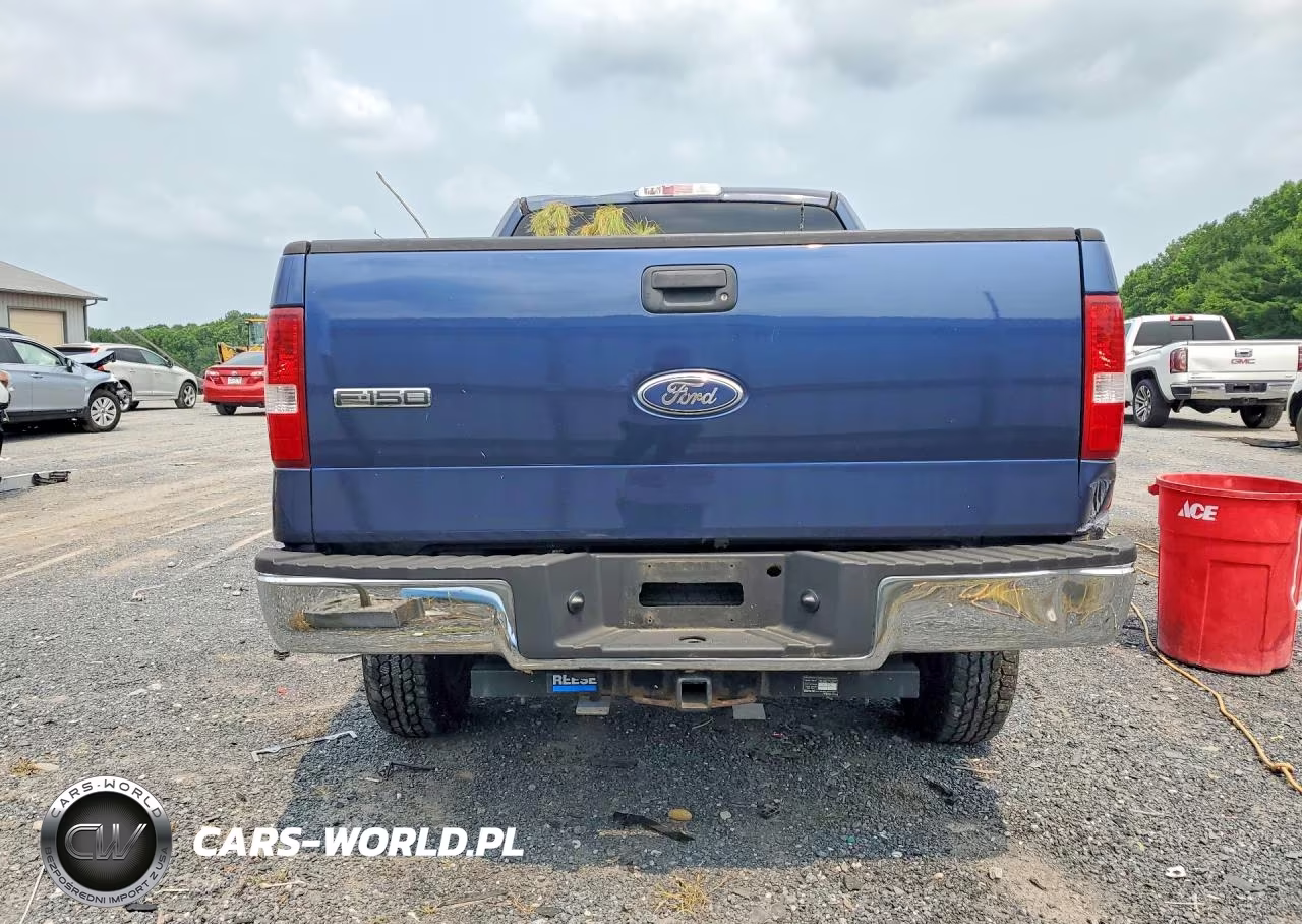 2006 Ford F150 VIN:1FTRX14W76NB74408 - 6