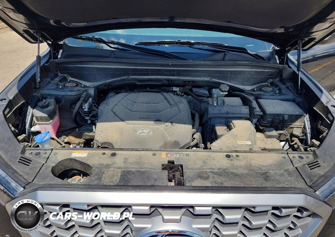 2022 Hyundai Palisade Sel VIN:KM8R2DHE3NU429380 - 12