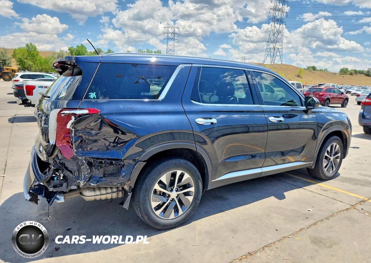 2022 Hyundai Palisade Sel VIN:KM8R2DHE3NU429380 - 3