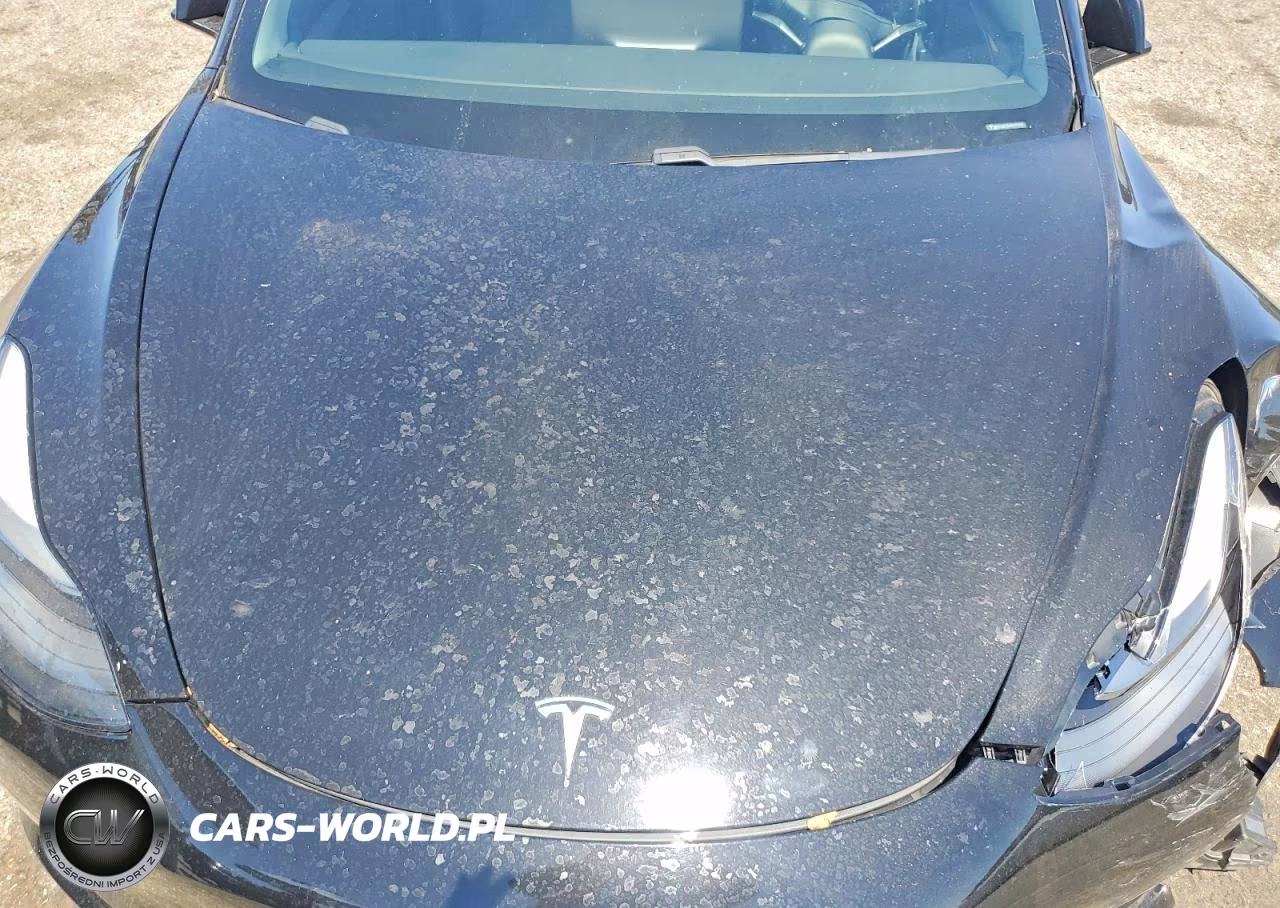2021 Tesla Model 3 VIN:5YJ3E1EA7MF074710 - 11