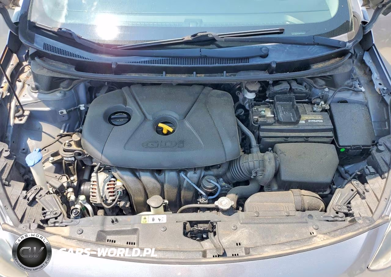2014 Hyundai Elantra Gt Base VIN:KMHD35LH9EU166939 - 11