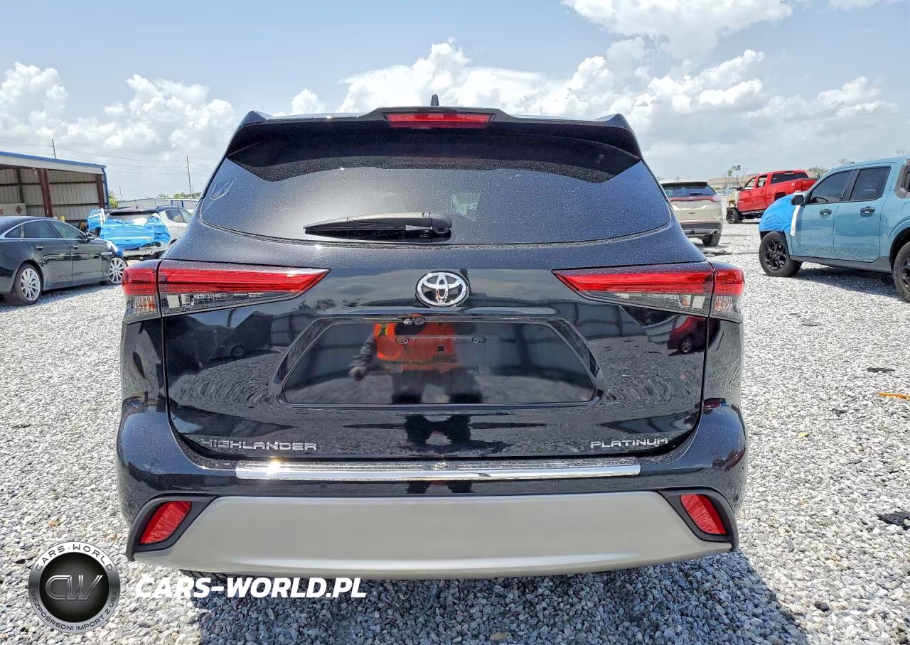 2020 Toyota Highlander Platinum VIN:5TDFZRAH5LS002059 - 6