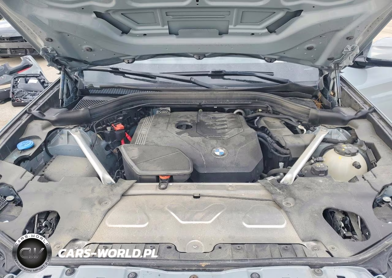 2024 BMW X3 xDrive30I VIN:5UX53DP0XR9W67465 - 12