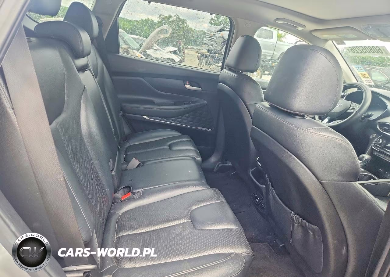 2020 Hyundai Santa Fe Limited VIN:5NMS5CADXLH289745 - 10