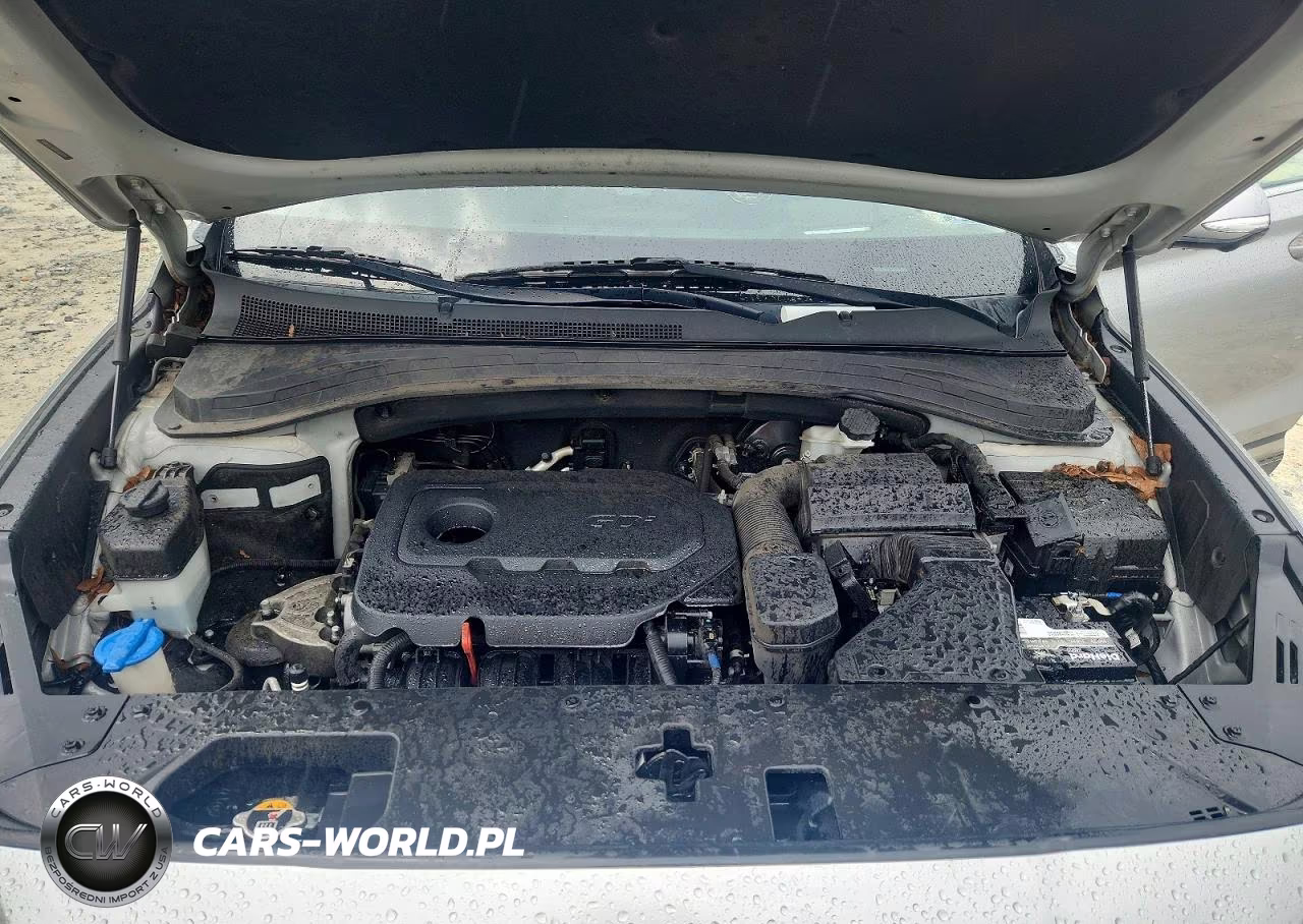 2020 Hyundai Santa Fe Limited VIN:5NMS5CADXLH289745 - 11