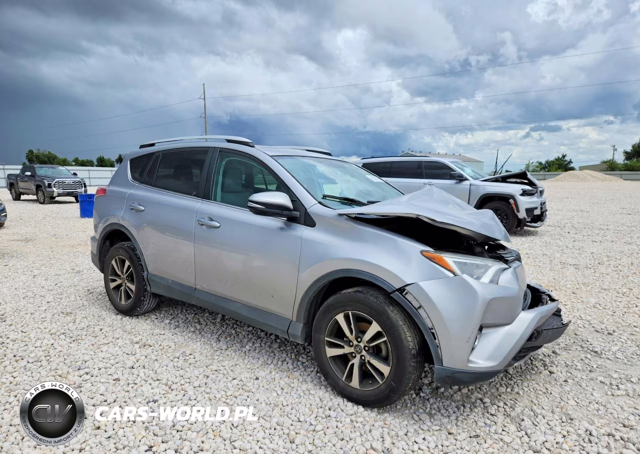 2016 Toyota Rav4 Xle VIN:2T3WFREV4GW304505 - 4