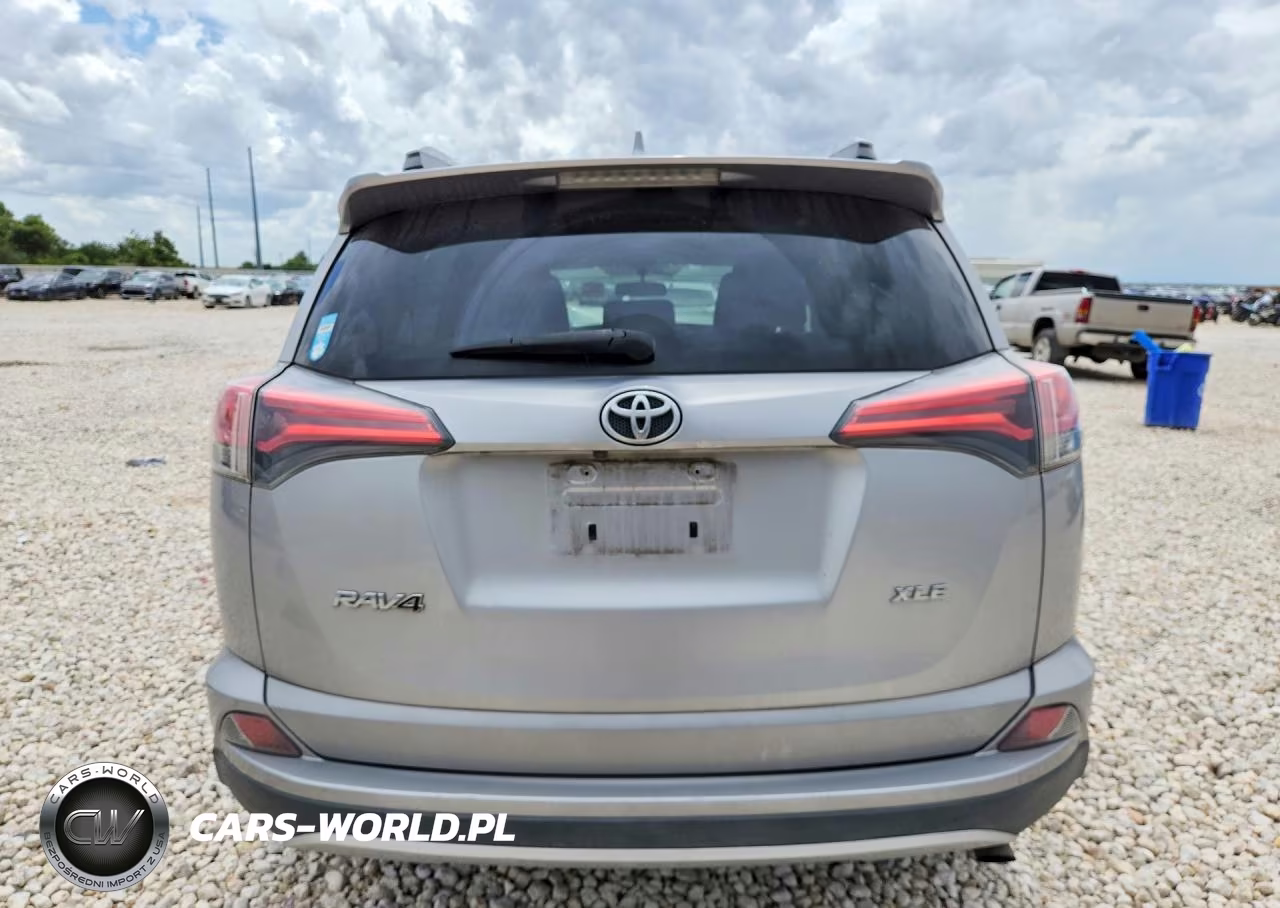 2016 Toyota Rav4 Xle VIN:2T3WFREV4GW304505 - 6