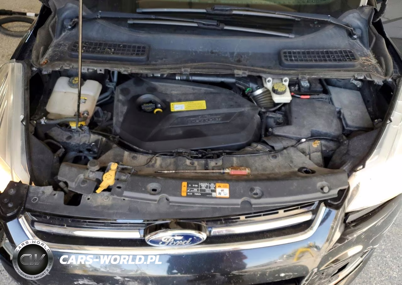 2013 Ford Escape Sel VIN:1FMCU0HX2DUA04886 - 12