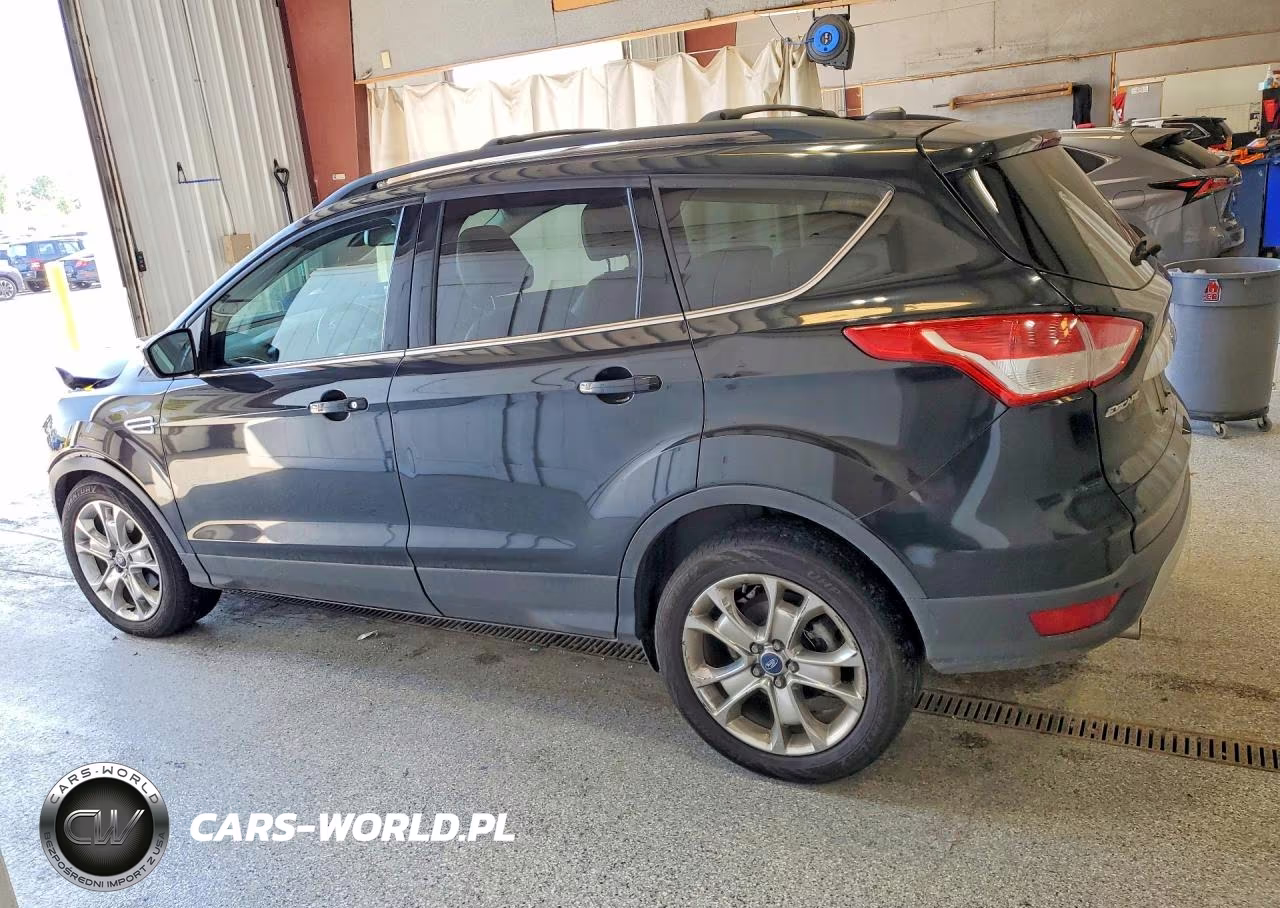 2013 Ford Escape Sel VIN:1FMCU0HX2DUA04886 - 2