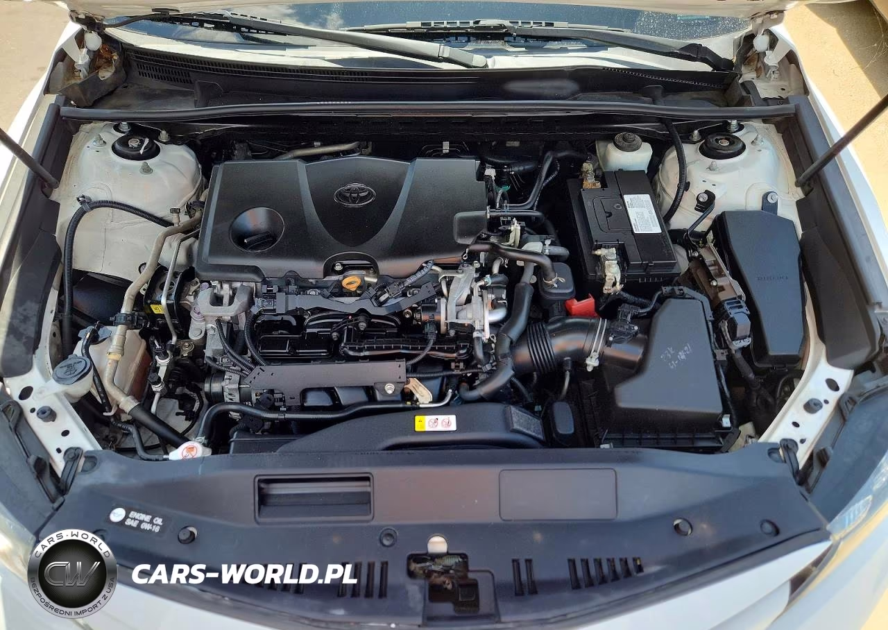 2019 Toyota Camry Le VIN:4T1B11HK4KU804410 - 11