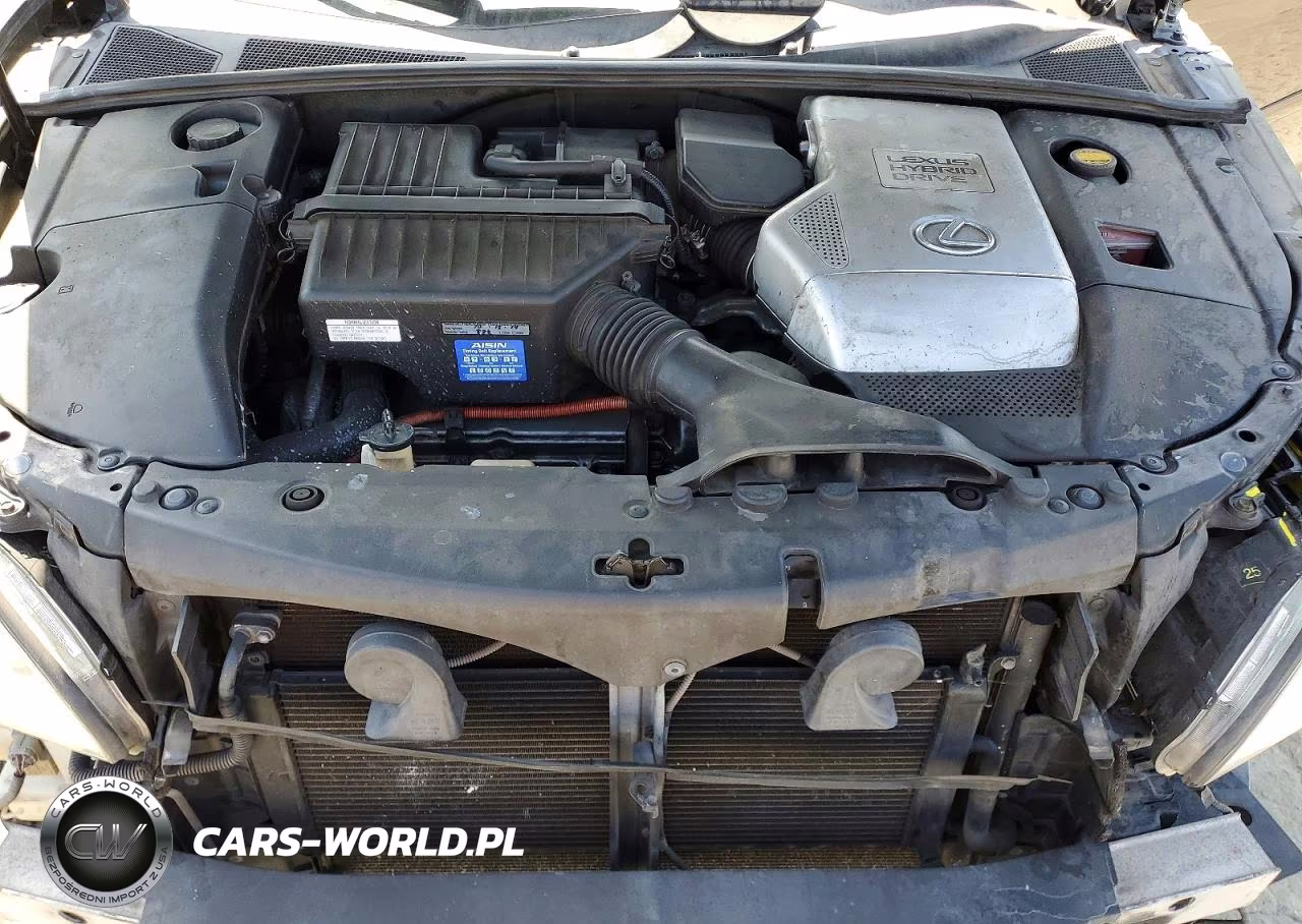 2008 Lexus Rx 400H VIN:JTJHW31U782863167 - 12