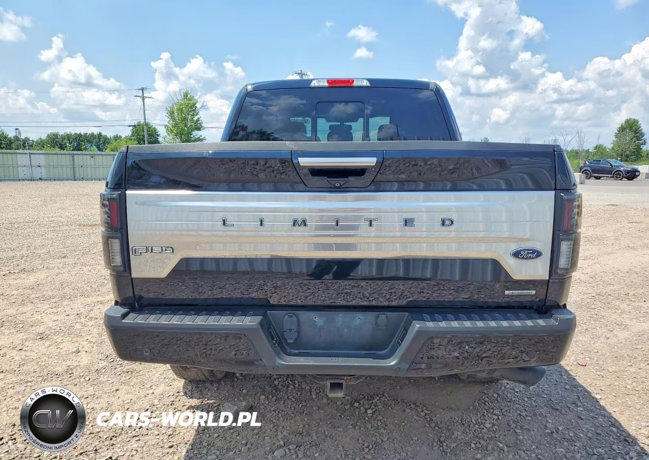 2018 Ford F-150 Limited VIN:1FTEW1EG5JFB47963 - 6