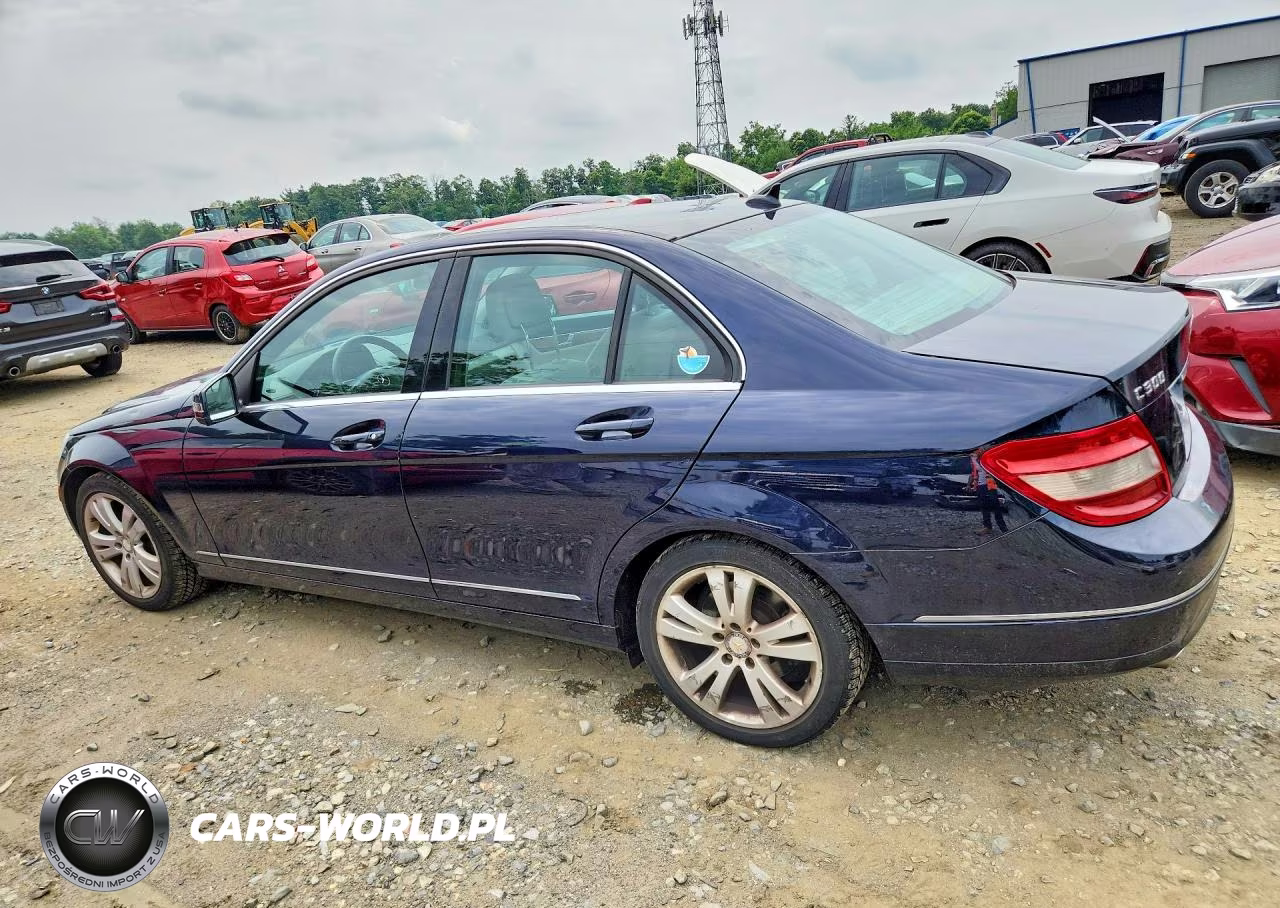 2010 Mercedes-Benz C 300 4Matic VIN:WDDGF8BB4AF403770 - 2
