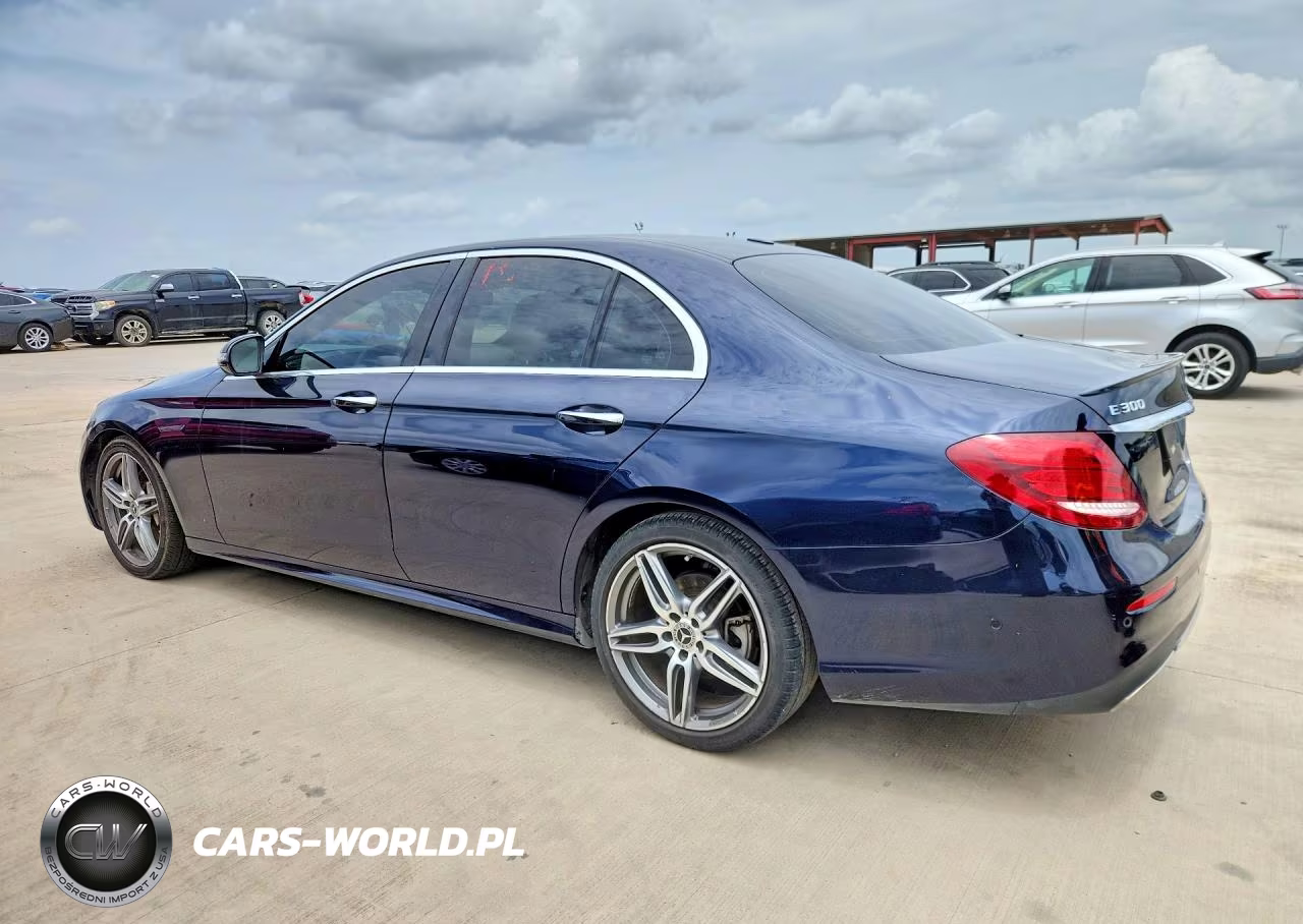 2019 Mercedes-Benz E 300 VIN:WDDZF4JB9KA666404 - 2