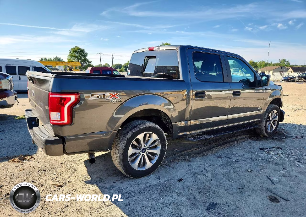 2017 Ford F150 Supercrew VIN:1FTEW1EP0HFA07958 - 3