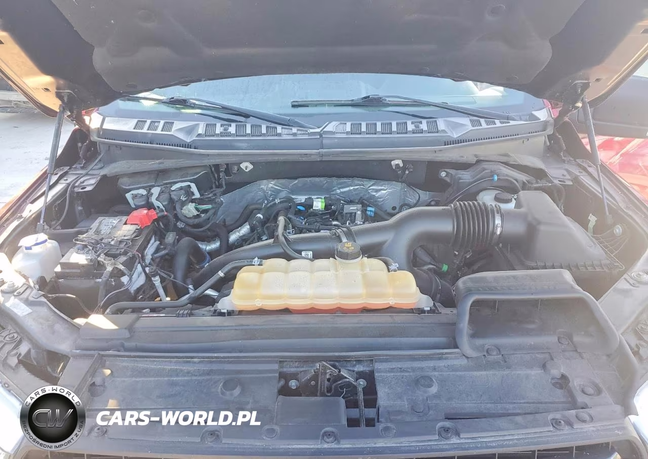 2019 Ford F150 Supercrew VIN:1FTEW1EP7KFA59837 - 11