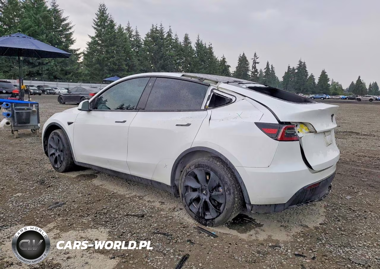2023 Tesla Model Y VIN:7SAYGDEEXPF682572 - 2