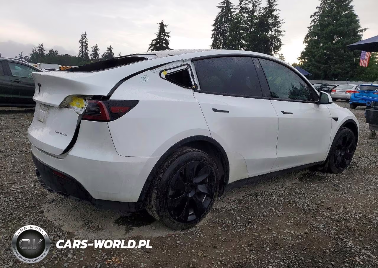 2023 Tesla Model Y VIN:7SAYGDEEXPF682572 - 3