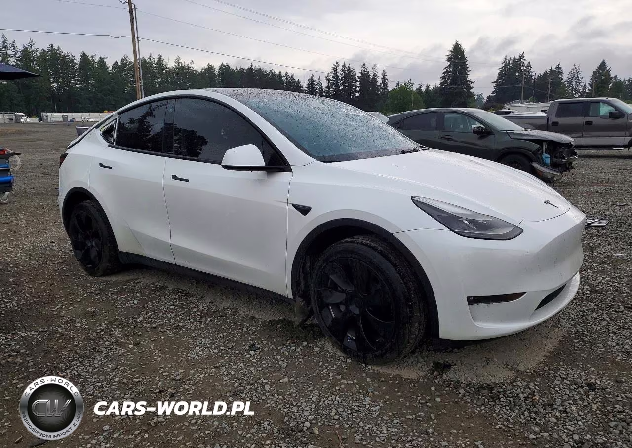2023 Tesla Model Y VIN:7SAYGDEEXPF682572 - 4
