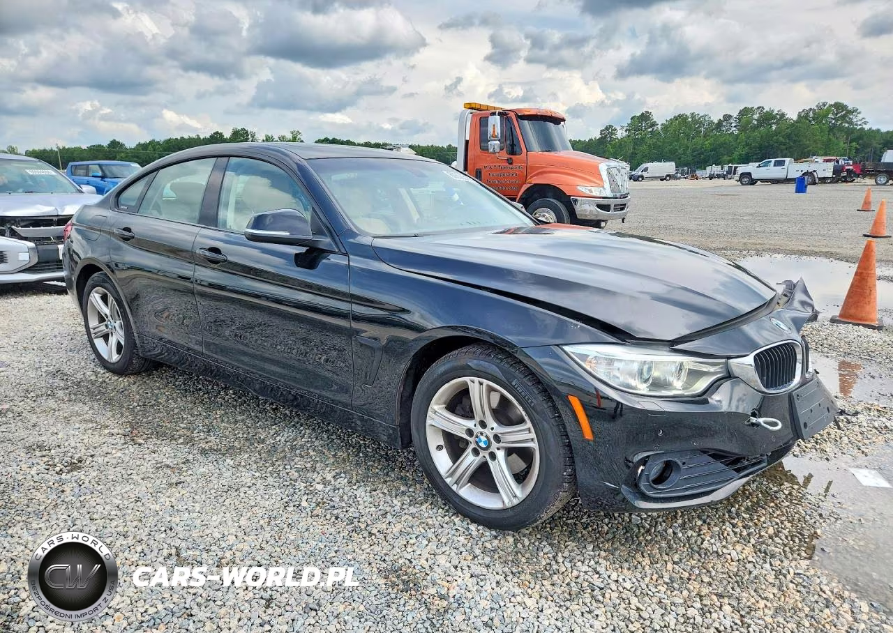 2015 BMW 428 Xi Gran Coupe Sulev VIN:WBA4C9C59FD330965 - 4