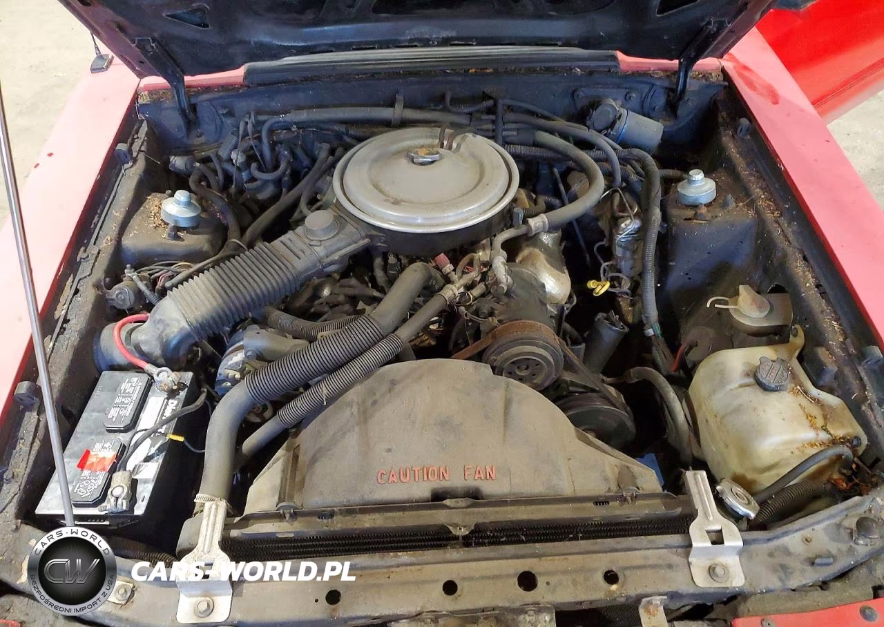 1984 Ford Mustang Glx VIN:1FABP2735EF117972 - 11
