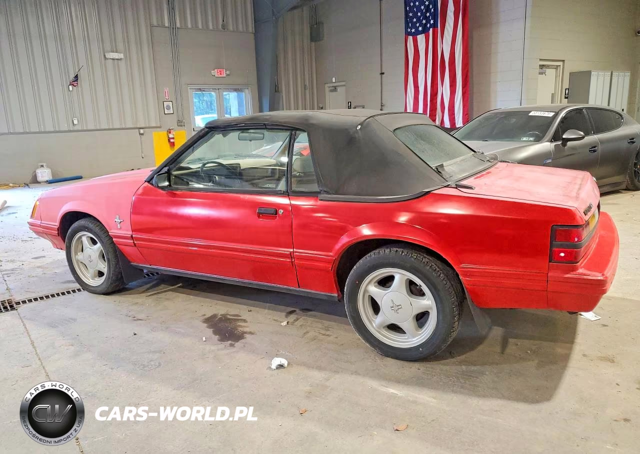 1984 Ford Mustang Glx VIN:1FABP2735EF117972 - 2