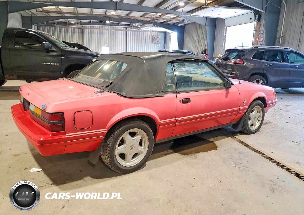 1984 Ford Mustang Glx VIN:1FABP2735EF117972 - 3