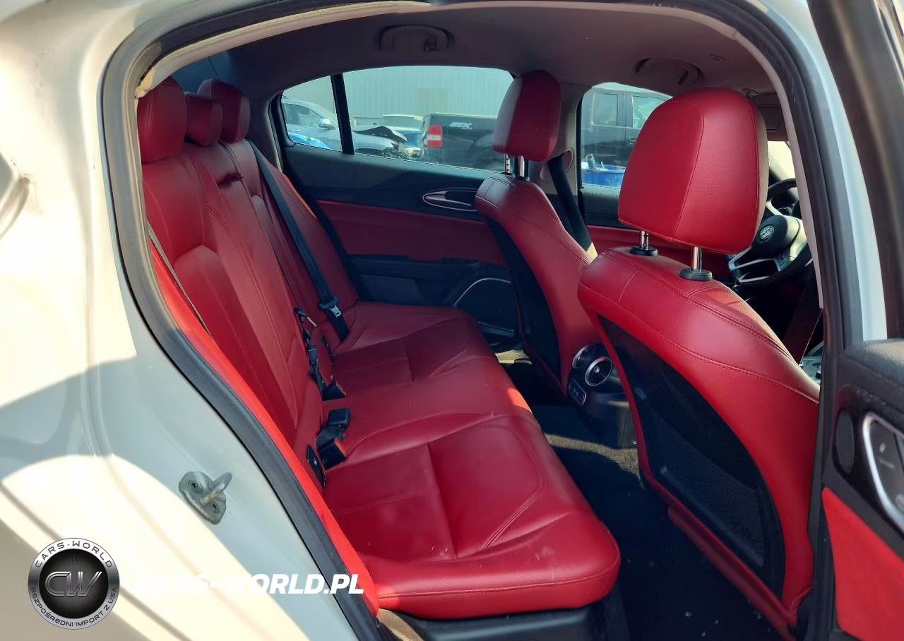 2019 Alfa Romeo Giulia VIN:ZARFANAN2K7621206 - 10