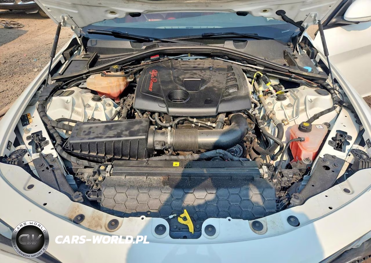 2019 Alfa Romeo Giulia VIN:ZARFANAN2K7621206 - 11