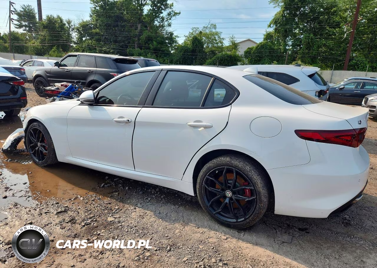 2019 Alfa Romeo Giulia VIN:ZARFANAN2K7621206 - 2