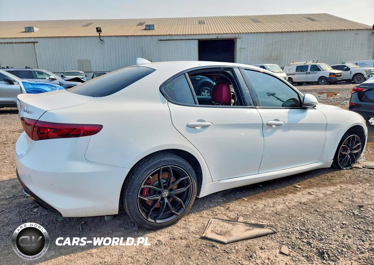 2019 Alfa Romeo Giulia VIN:ZARFANAN2K7621206 - 3