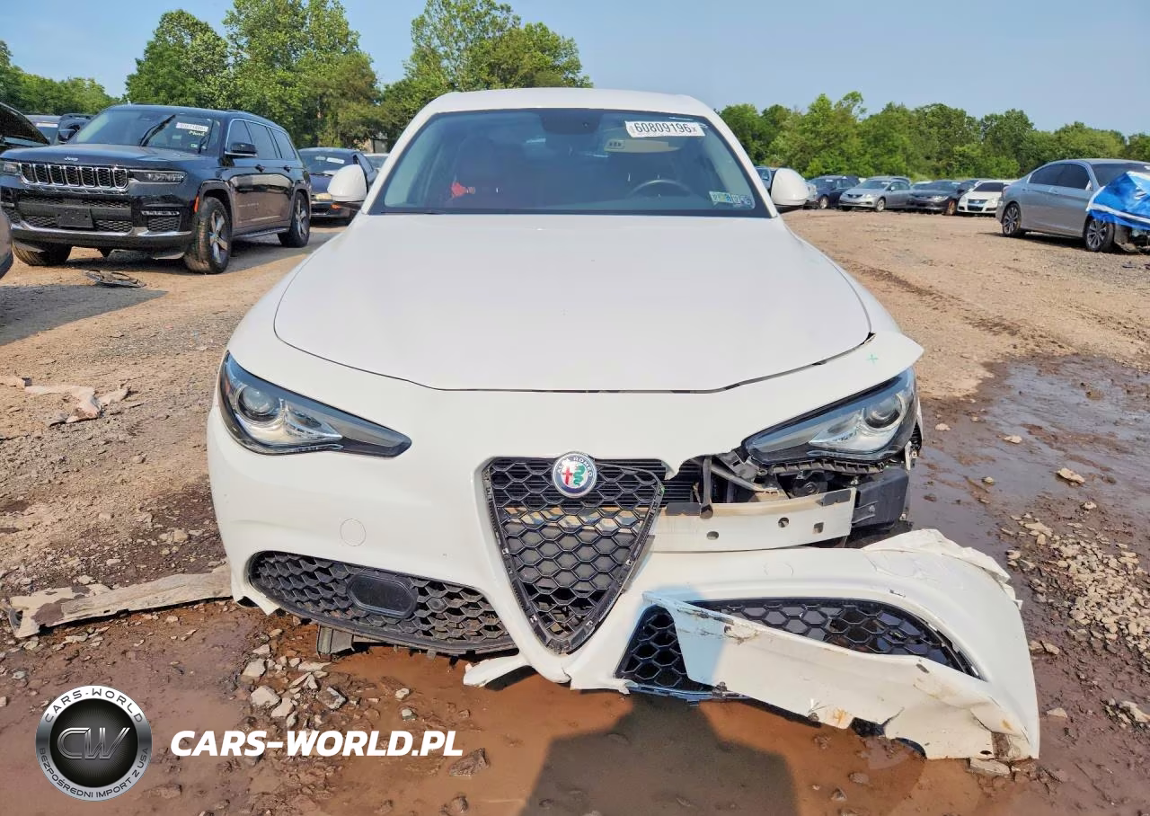 2019 Alfa Romeo Giulia VIN:ZARFANAN2K7621206 - 5