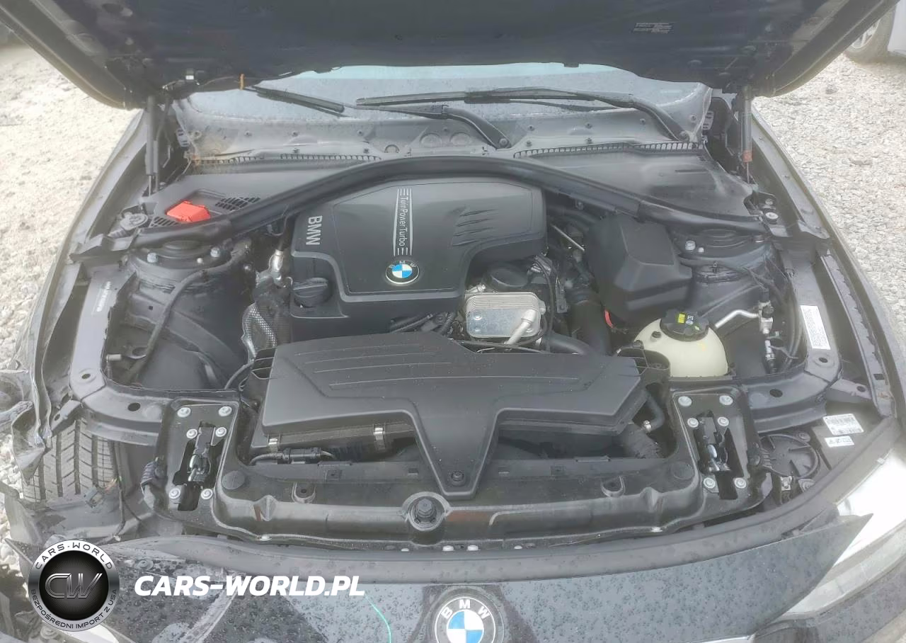 2015 BMW 428 I VIN:WBA3N7C58FK222973 - 11