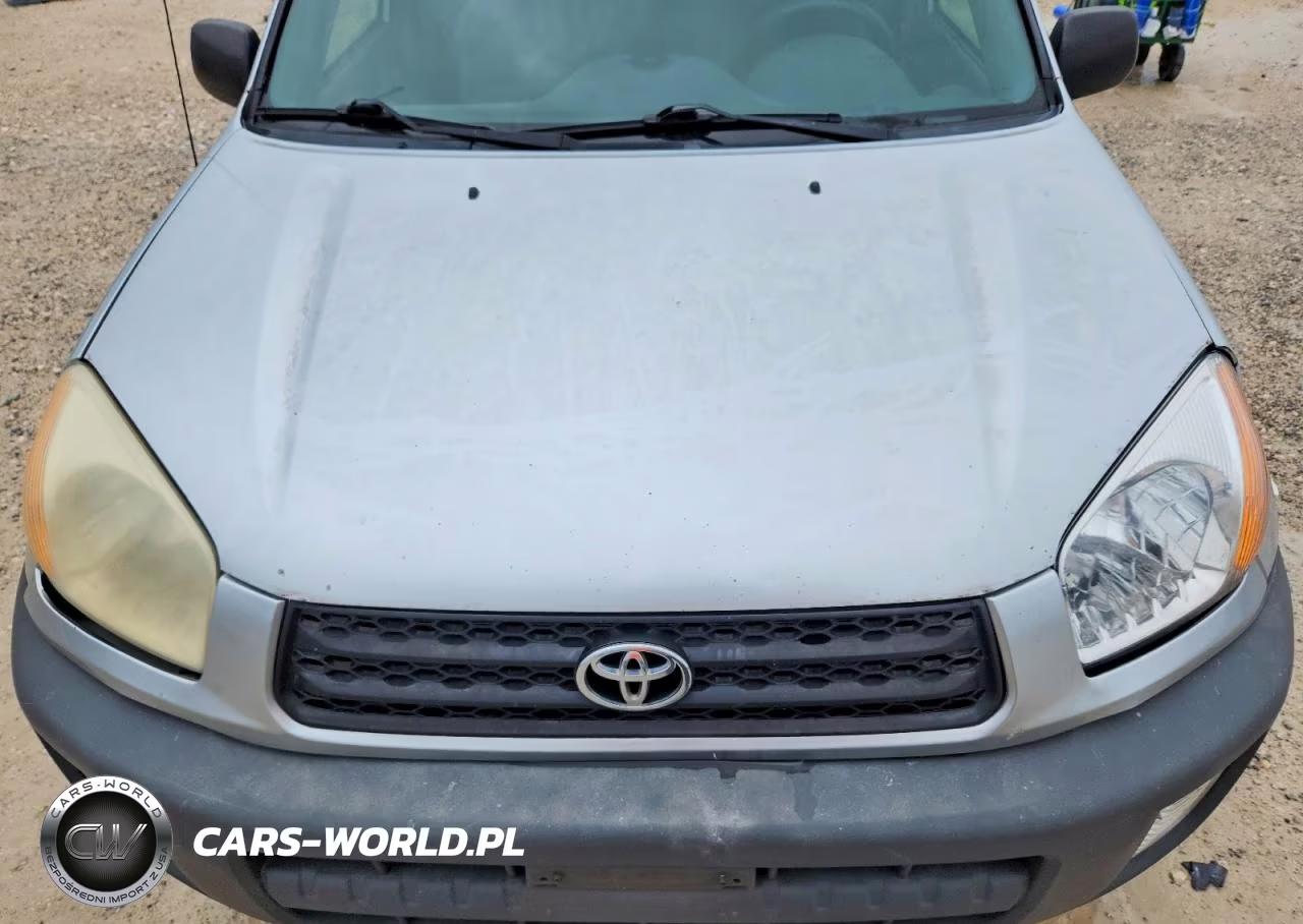 2001 Toyota Rav4 Base VIN:JTEGH20V010016713 - 12