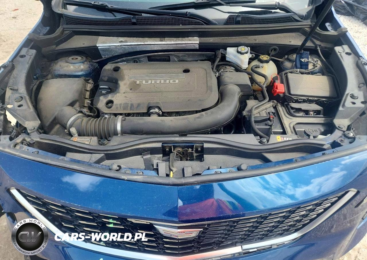 2019 Cadillac Xt4 Luxury VIN:1GYFZBR46KF116265 - 12