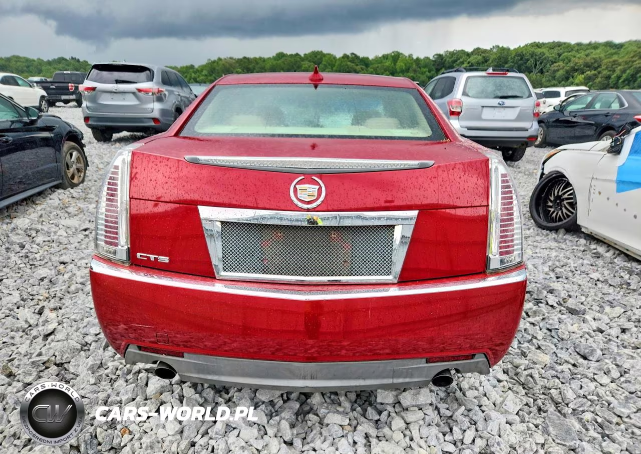 2010 Cadillac Cts Luxury Collection VIN:1G6DF5EG0A0130660 - 6