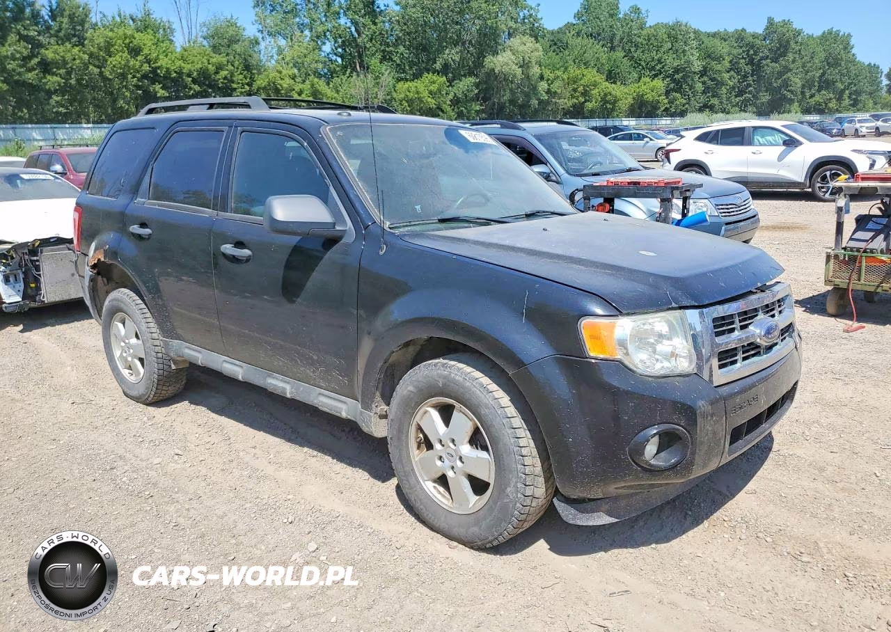 2009 Ford Escape Xlt VIN:1FMCU03G39KD05192 - 4