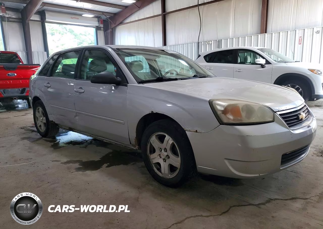 2004 Chevrolet Malibu Maxx Lt VIN:1G1ZU64804F184530 - 4