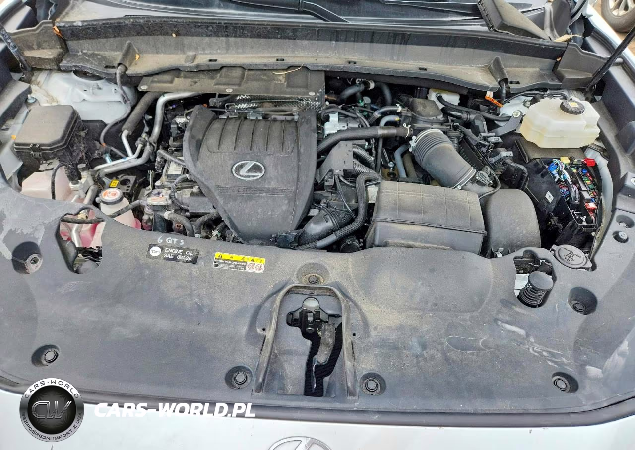 2024 Lexus Tx 500H F Sport Performance Premium VIN:5TDABAB61RS003070 - 12
