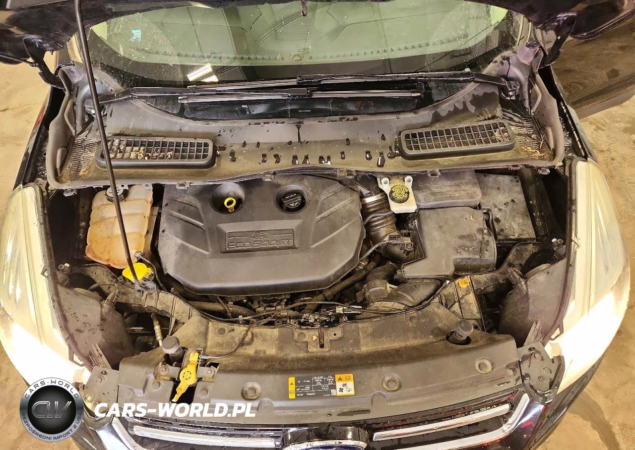 2013 Ford Escape Sel VIN:1FMCU0H92DUC54792 - 12