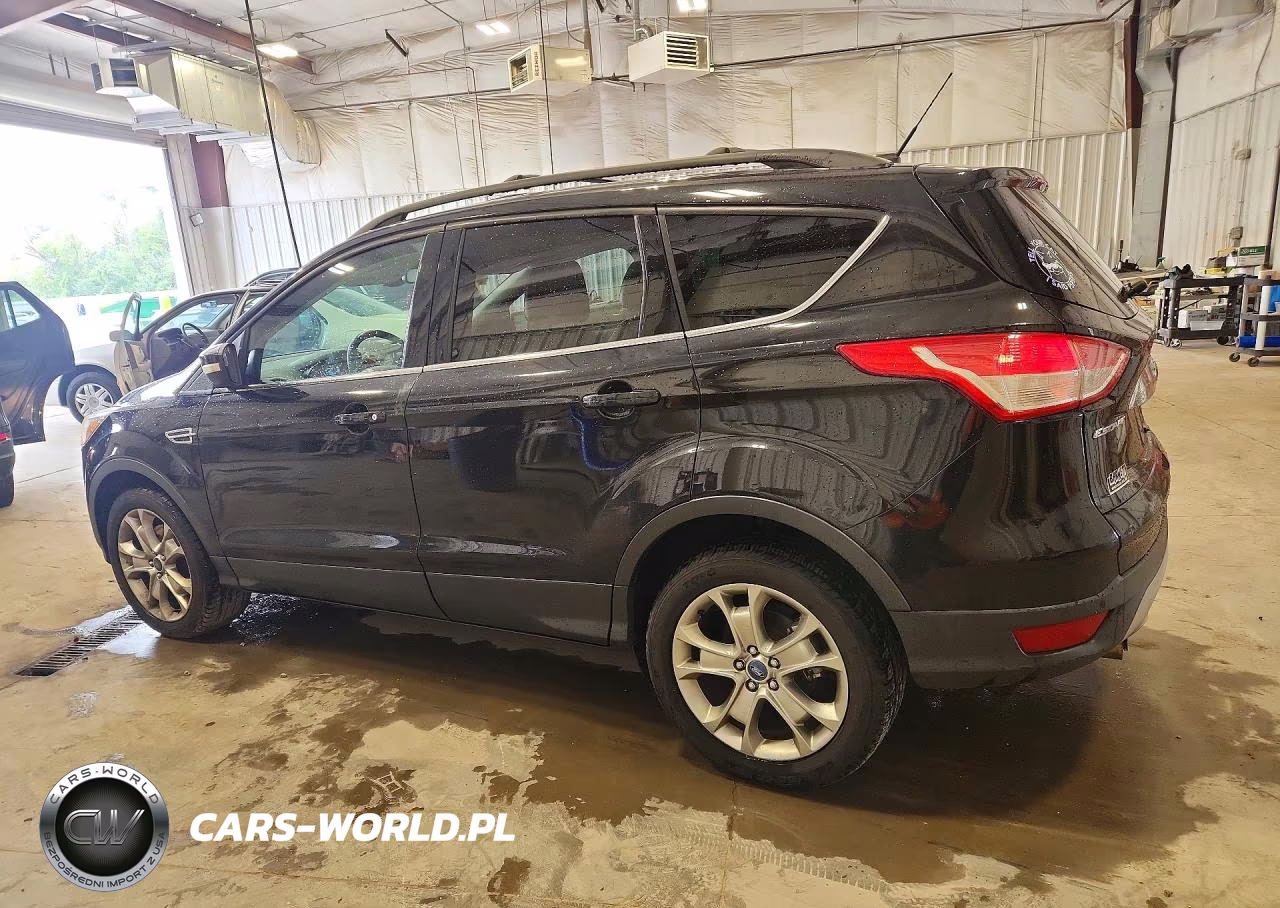 2013 Ford Escape Sel VIN:1FMCU0H92DUC54792 - 2