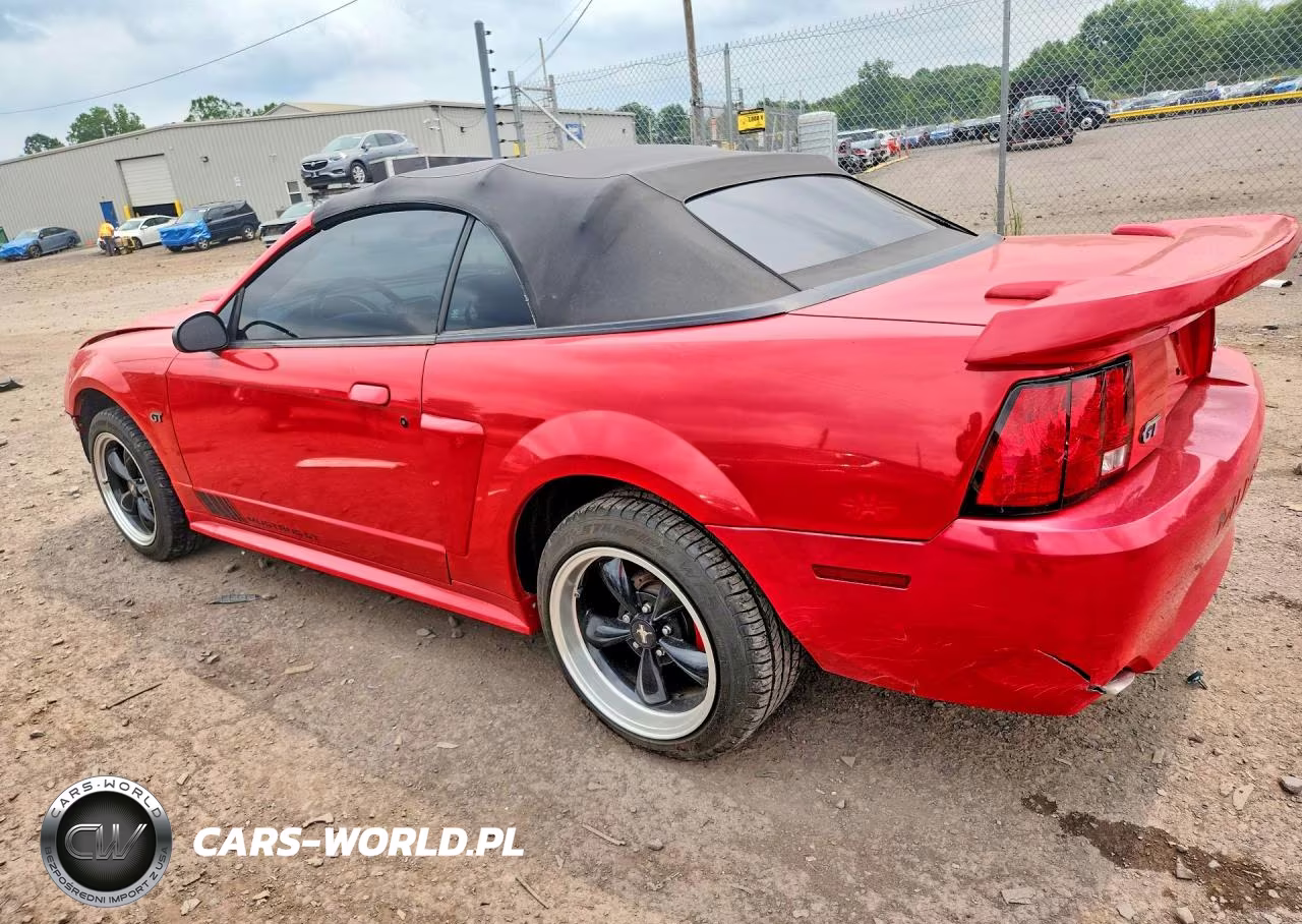 2003 Ford Mustang Gt VIN:1FAFP45X43F406230 - 2