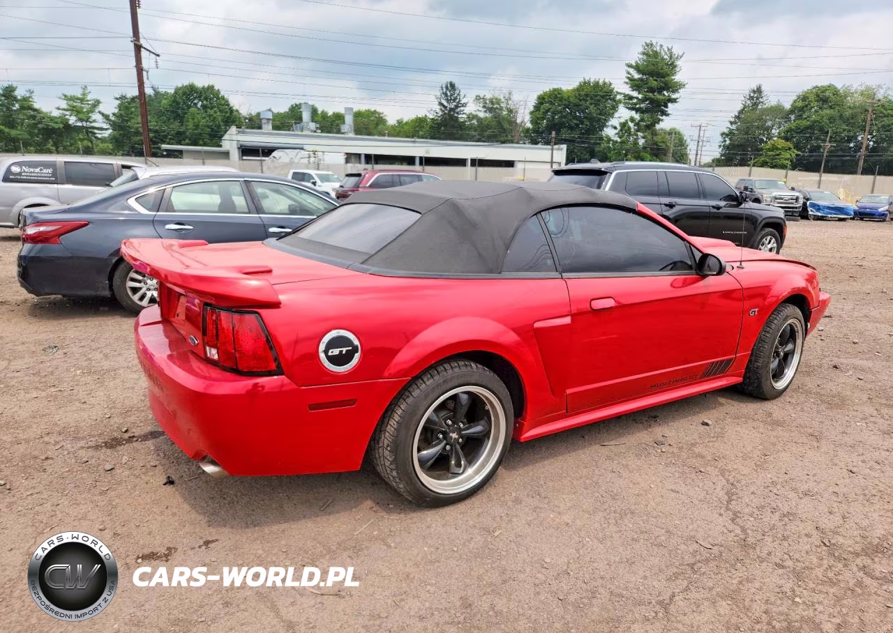 2003 Ford Mustang Gt VIN:1FAFP45X43F406230 - 3