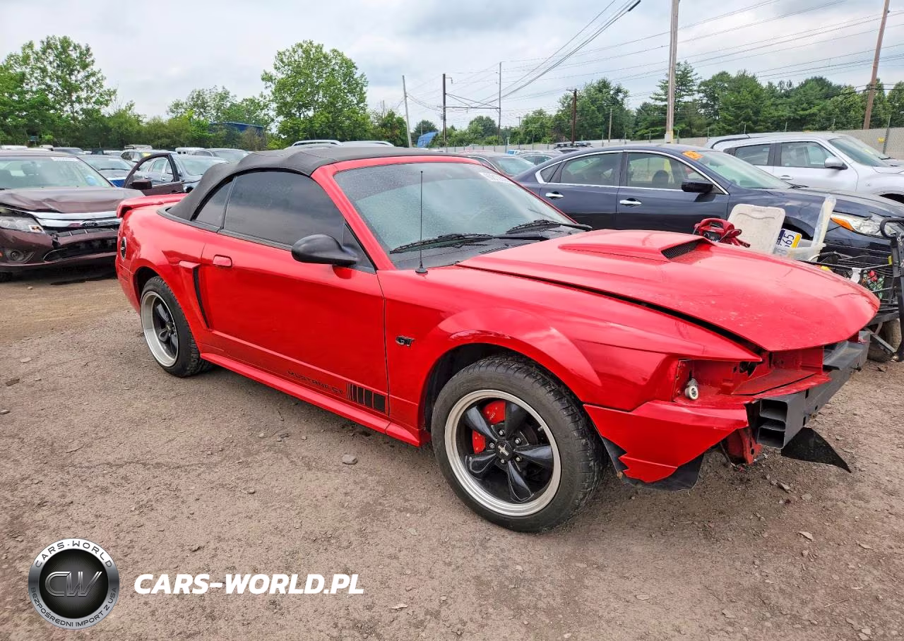 2003 Ford Mustang Gt VIN:1FAFP45X43F406230 - 4
